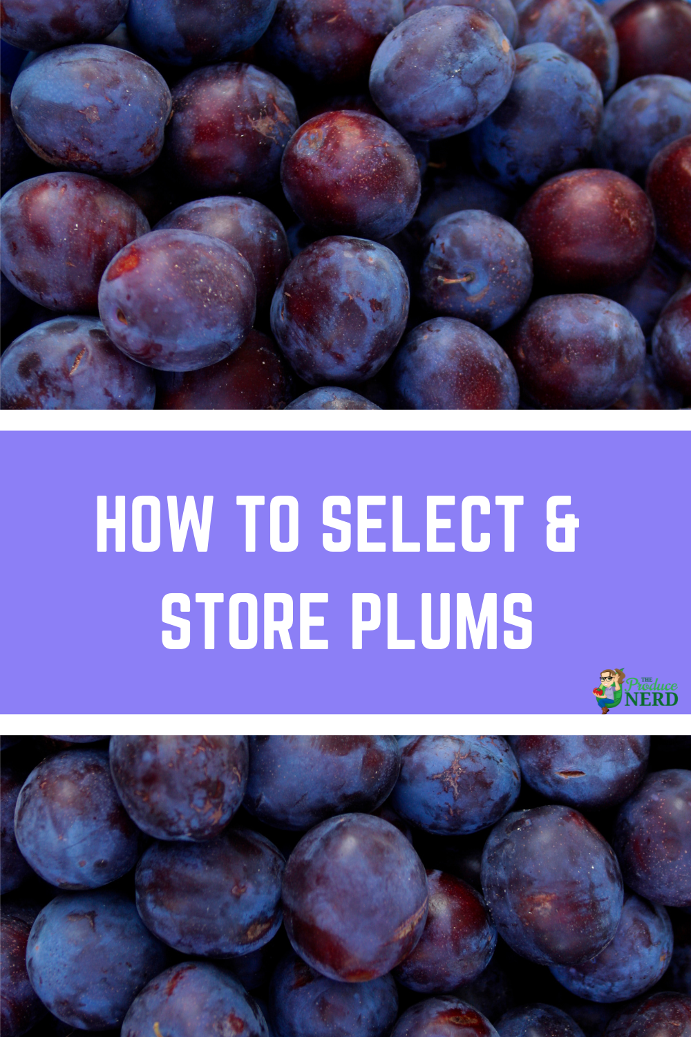 Read more about the article How to Select & Store Plums