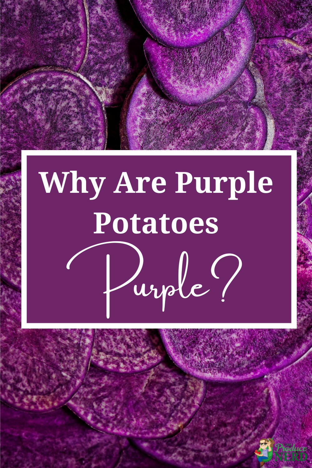 Read more about the article What is a Purple Potato & Why Are They Purple?