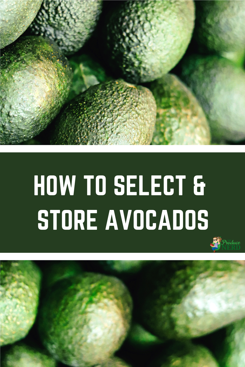 Read more about the article How to Select & Store Avocados