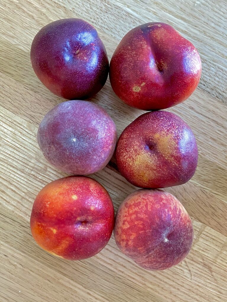 Pasadena Farmers Market - Galpin Farms Stone Fruit