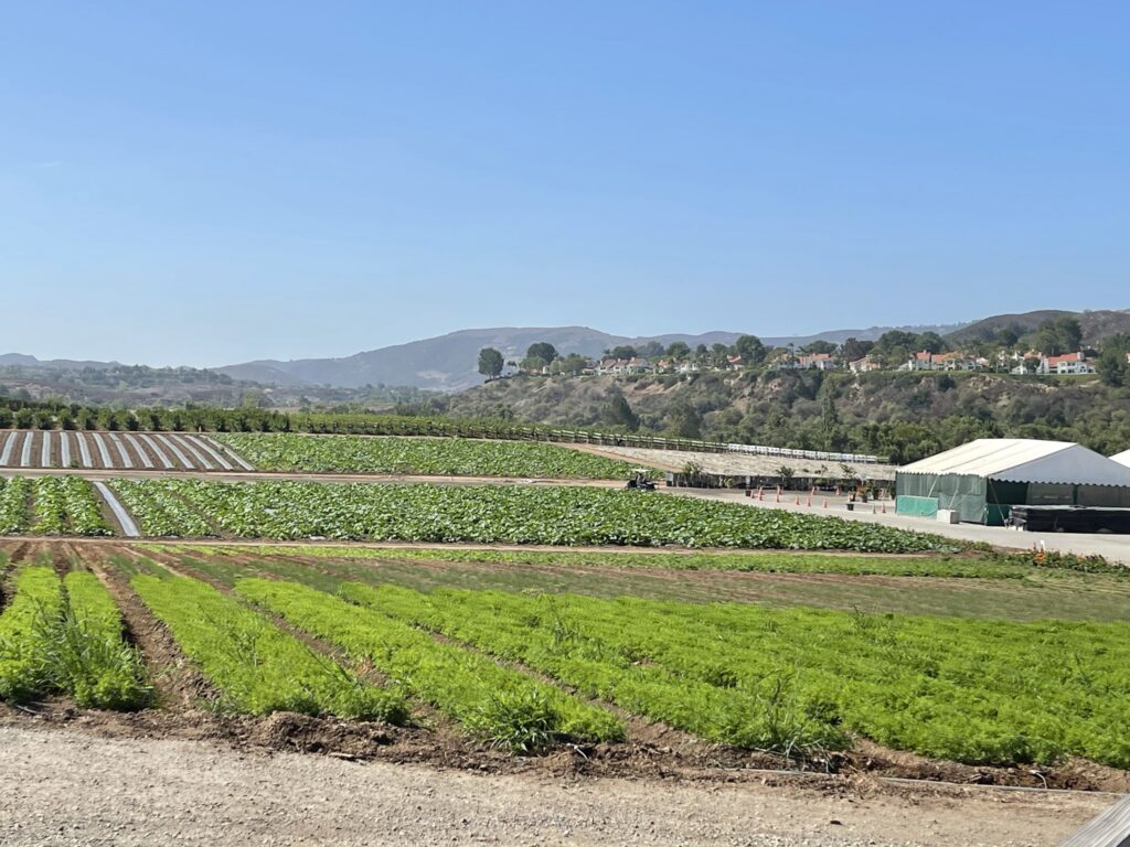 Tanaka Farms