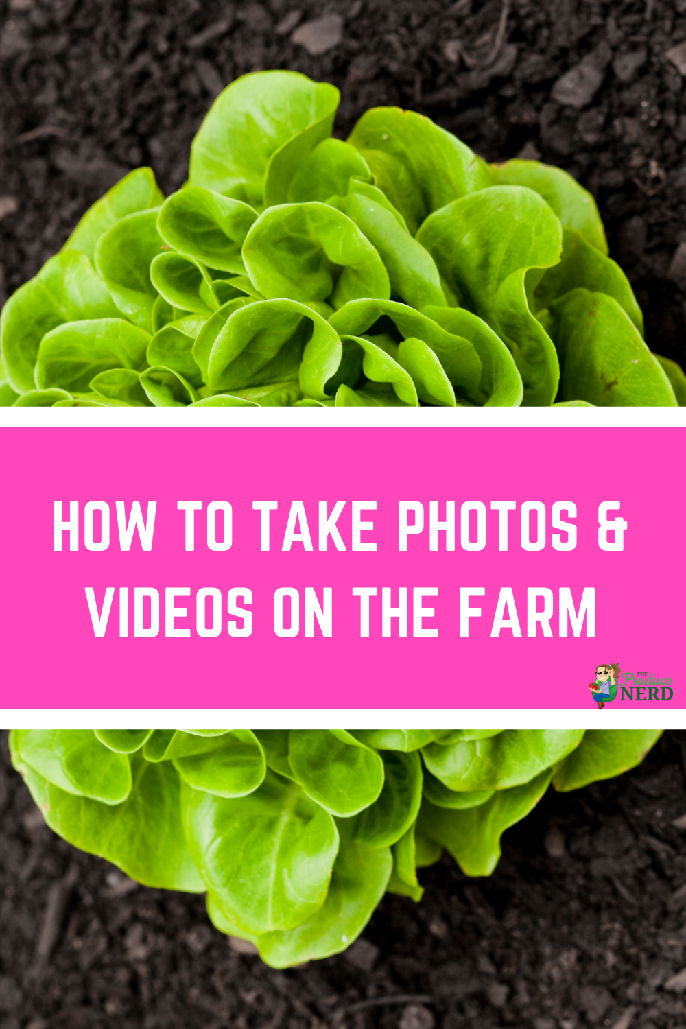 Read more about the article How to Take Photos & Videos on the Farm