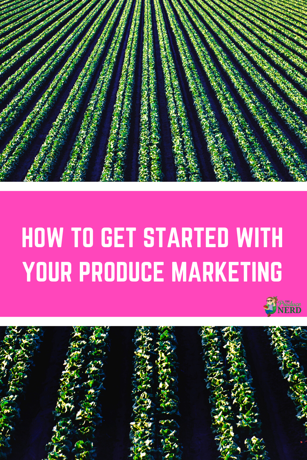 Read more about the article How to Get Started with Your Produce Marketing Efforts