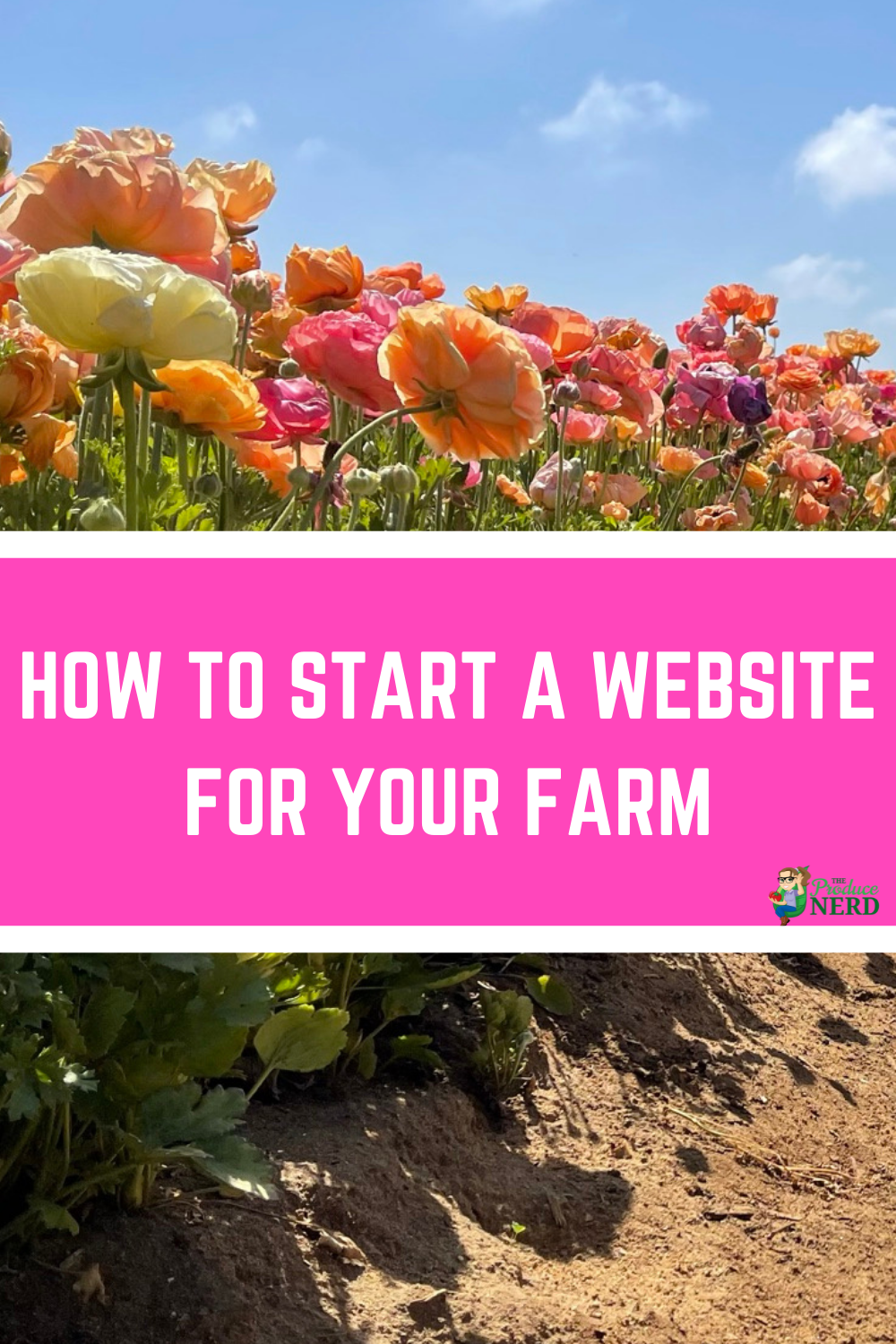 Read more about the article How to Start a Website for Your Farm