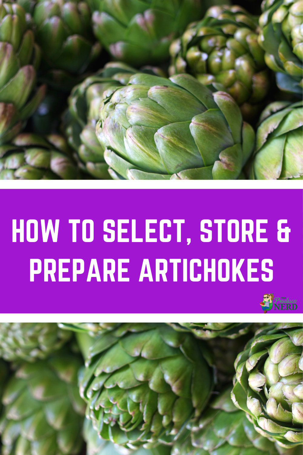 Read more about the article How to Select, Store & Prepare Artichokes