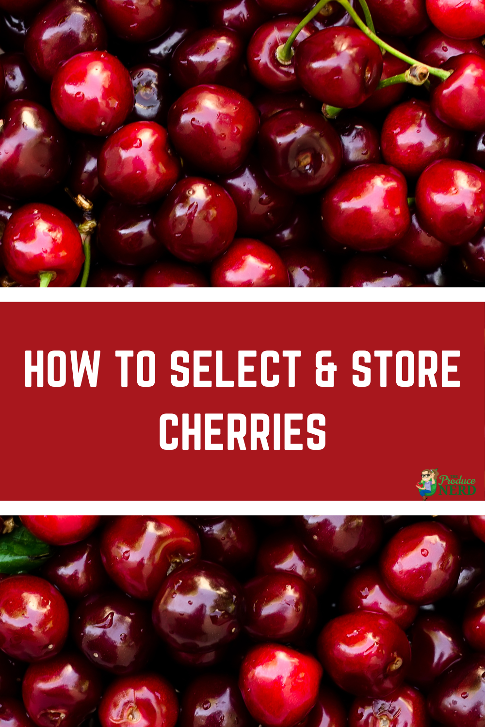 Read more about the article How to Select & Store Cherries