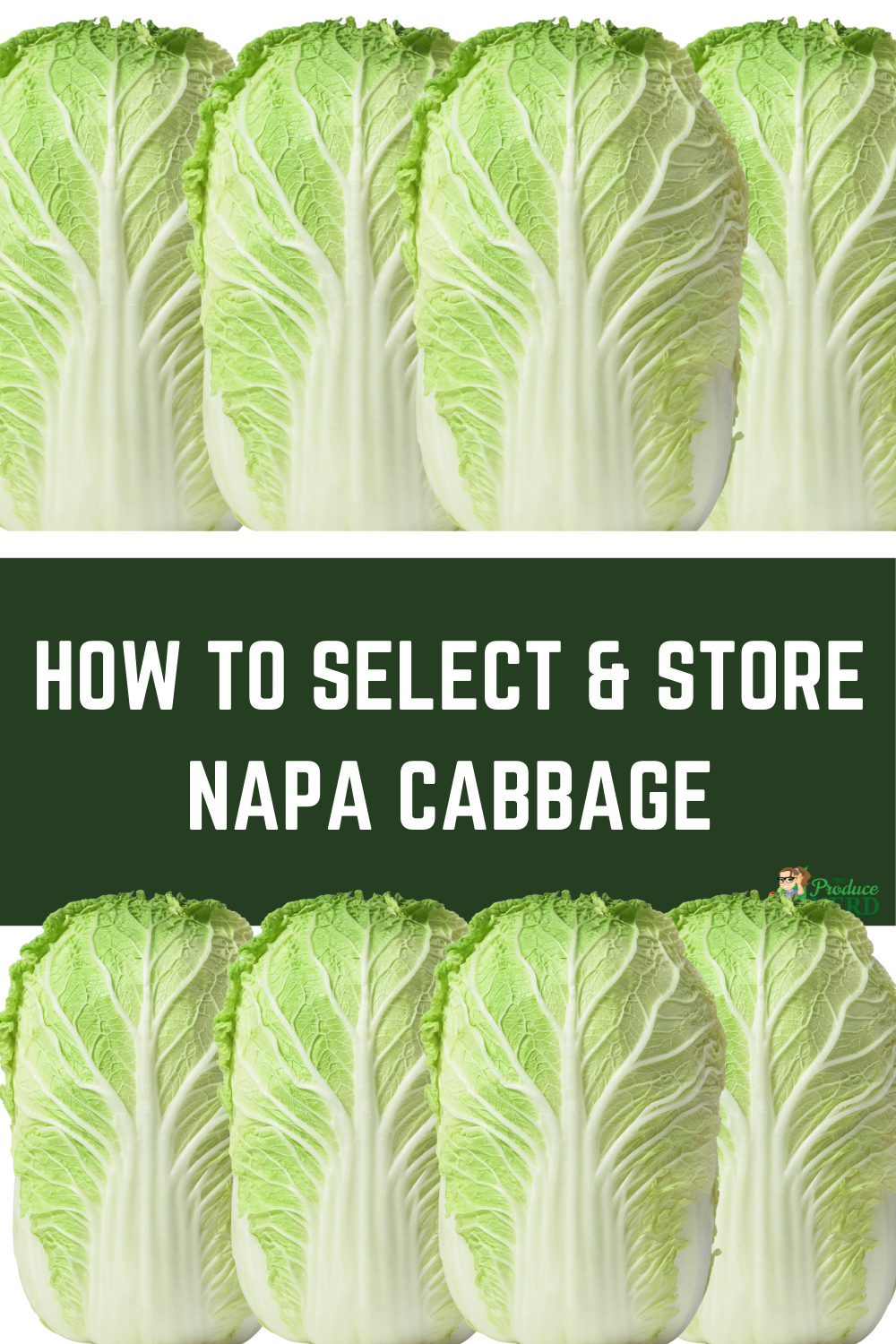 Read more about the article How to Select & Store Napa Cabbage