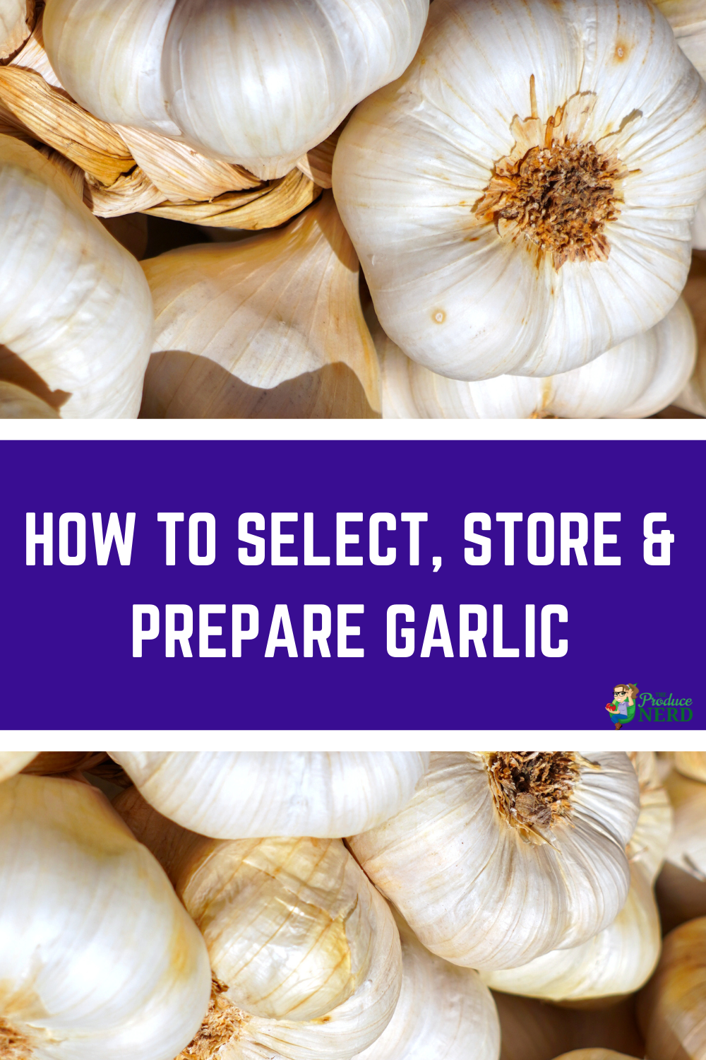 Read more about the article How to Select, Store & Prepare Garlic