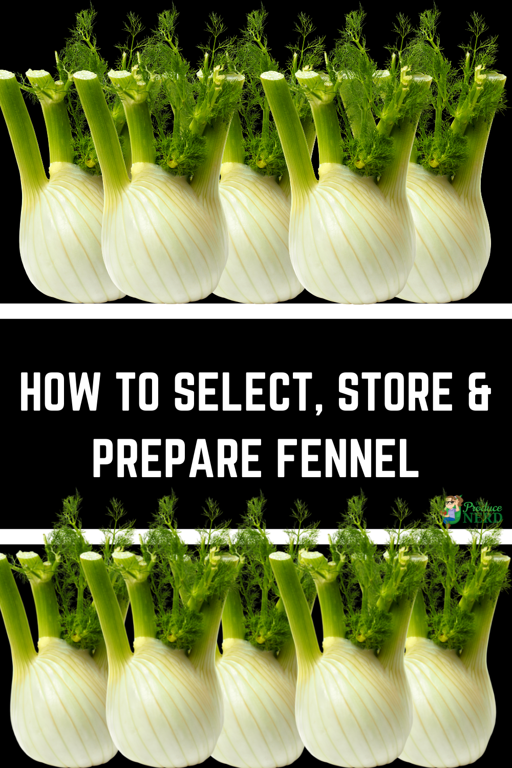 Read more about the article How to Select, Store & Prepare Fennel