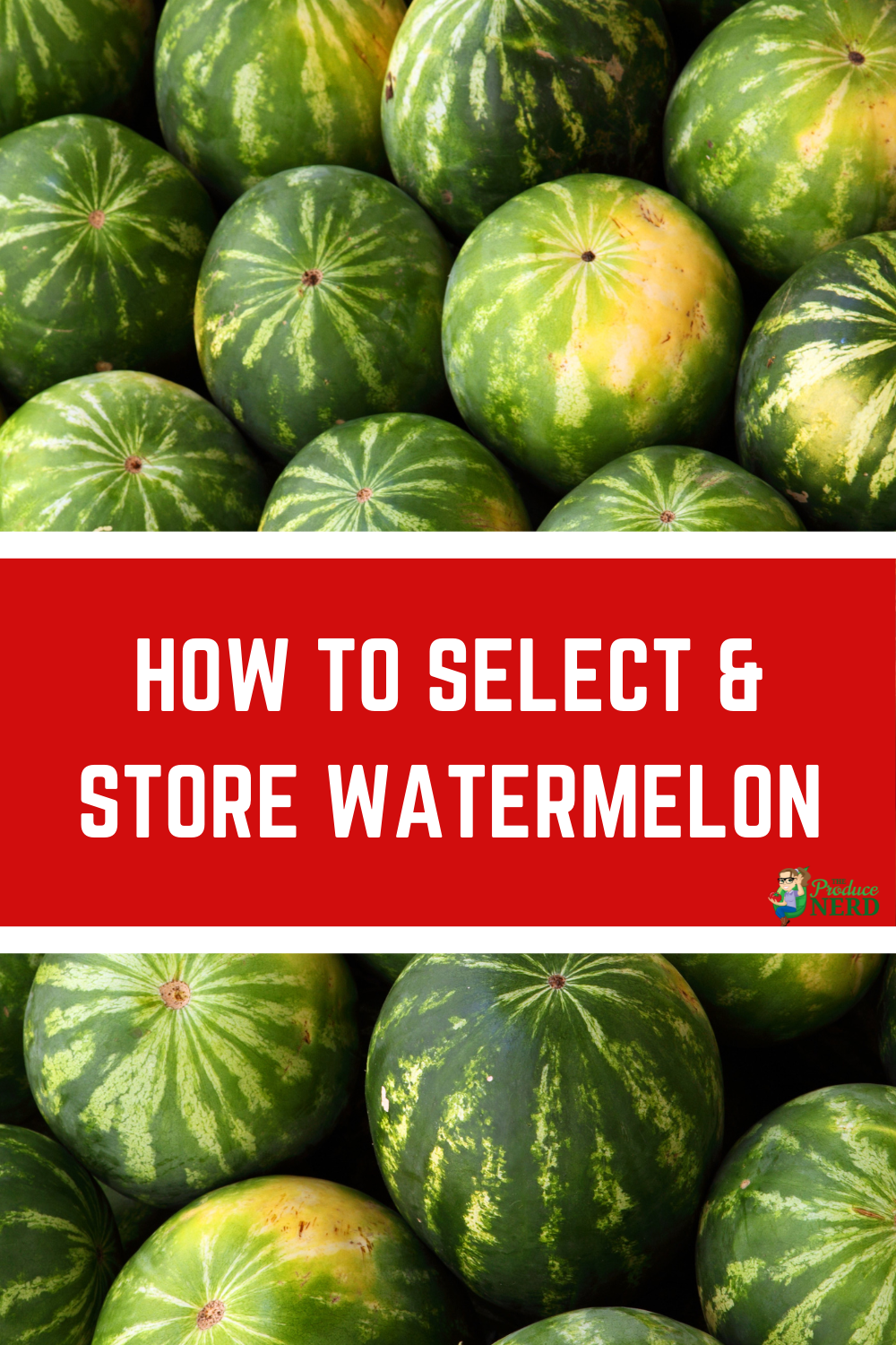 Read more about the article How to Select & Store Watermelons