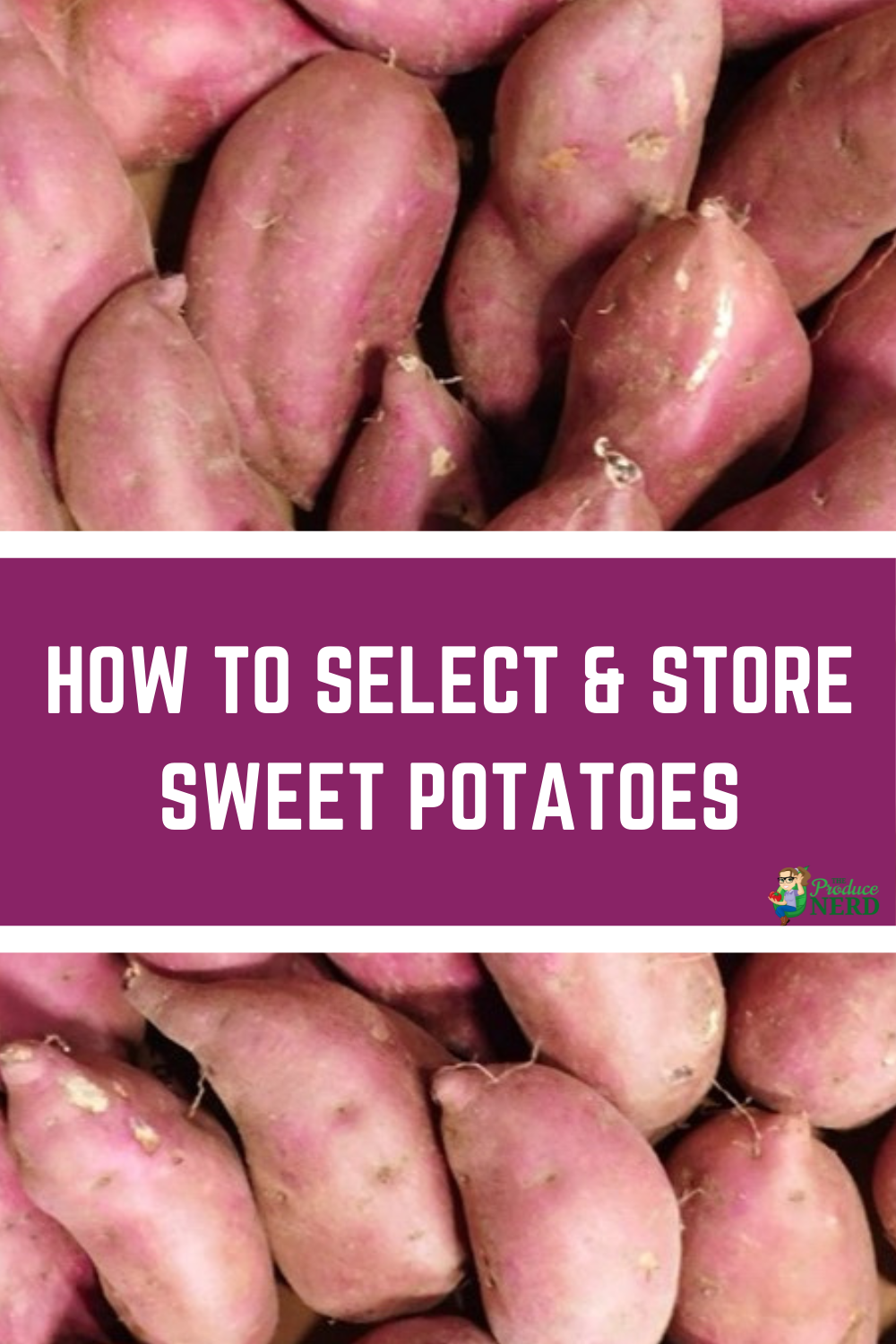 Read more about the article How to Select & Store Sweet Potatoes