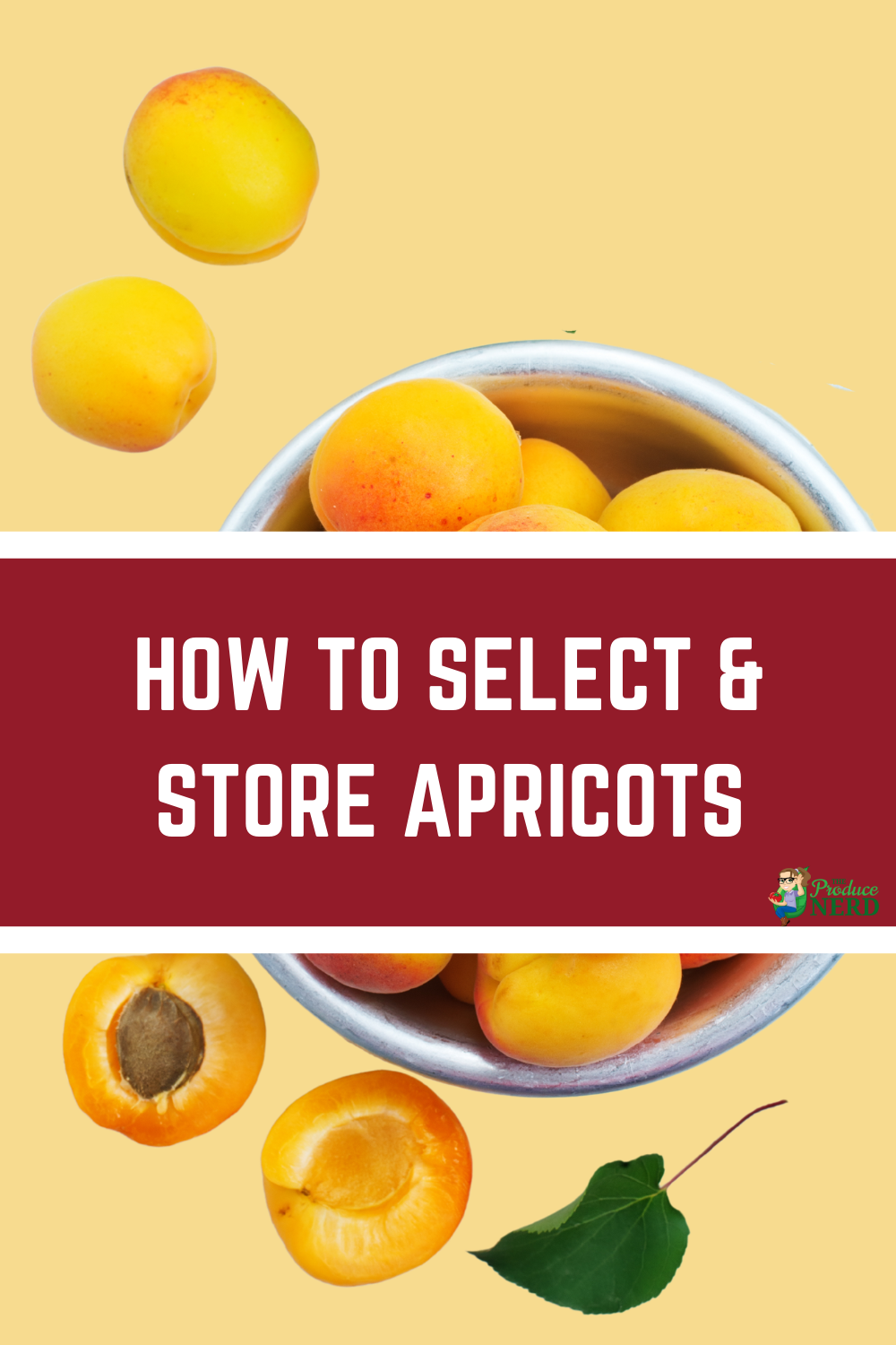 Read more about the article How to Select and Store Apricots